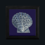 Indigo Shells VIII Gift Box<br><div class="desc">Marine Life</div>