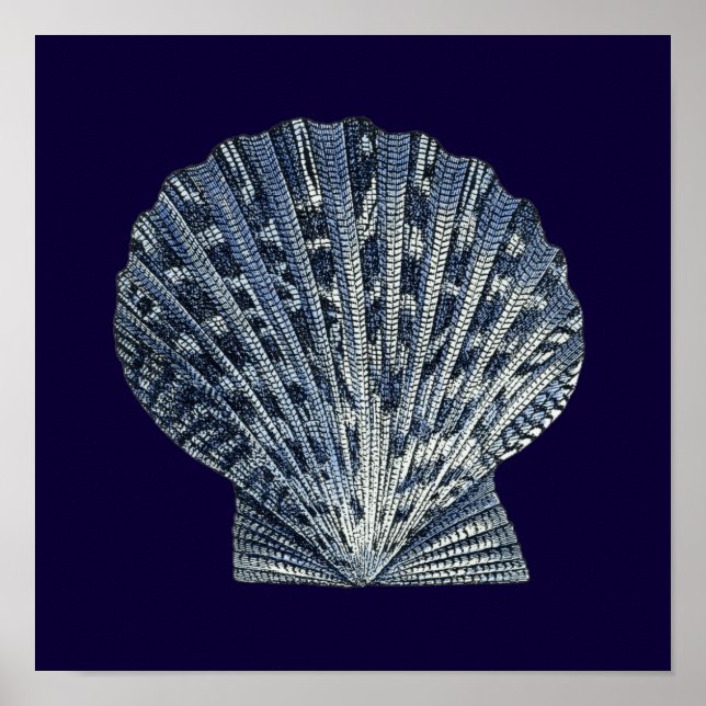 Indigo Shells VIII Poster (Front)