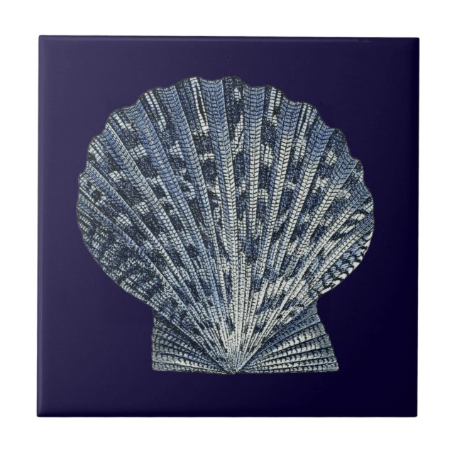 Indigo Shells VIII Tile (Front)