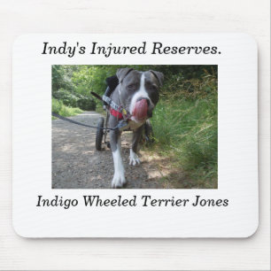Indigo's mouse pad