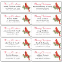 Individual holiday name address labels Sticker