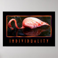 Individuality