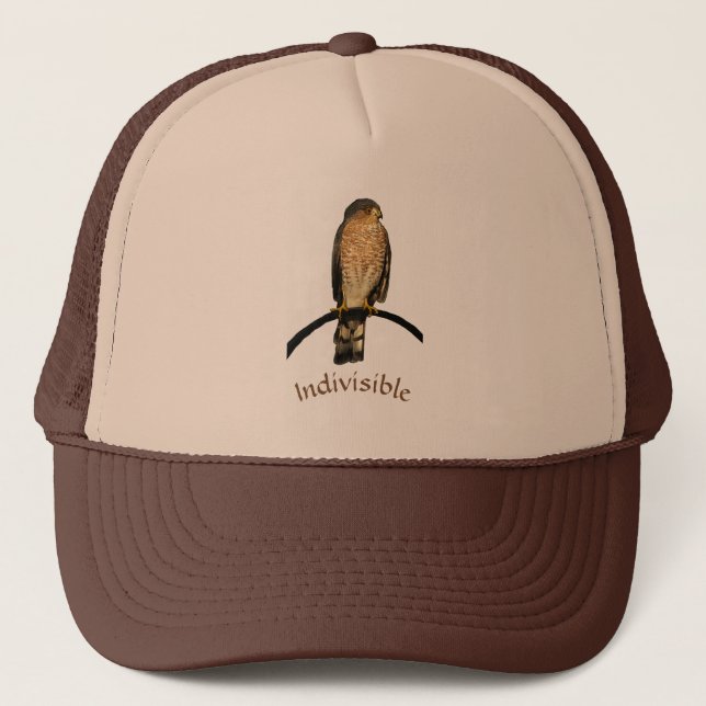 Indivisible Brown Hawk Hat (Front)
