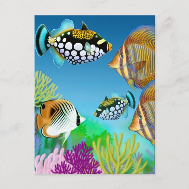 Indo Pacific Reef Fish Postcard (Front)