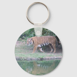 Indochinese Tiger Keychain