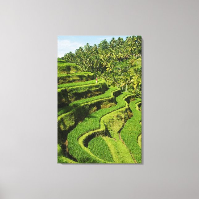 Indonesia, Bali | Rice Paddies Canvas Print (Front)