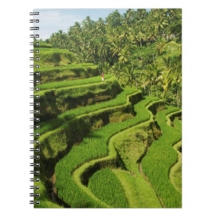 Indonesia, Bali   Rice Paddies Notebook