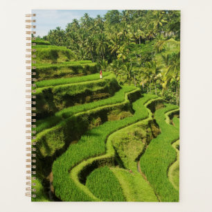 Indonesia, Bali Rice Paddies Planner