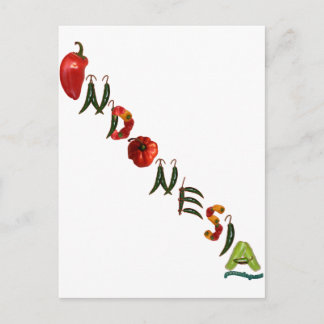 Indonesia Chili Peppers Postcard