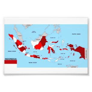 indonesia country political map flag photo print