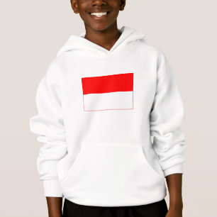 Indonesia Flag