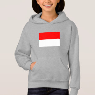 Indonesia Flag