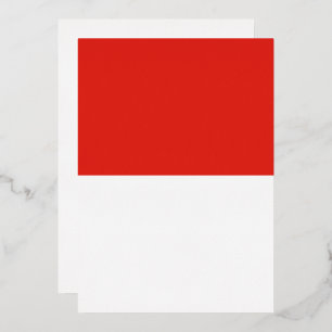Indonesia flag