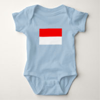 Indonesia Flag