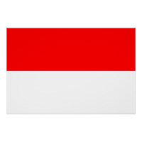 Indonesia Flag