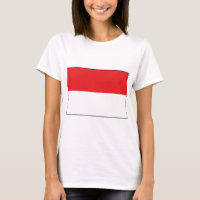 Indonesia Flag