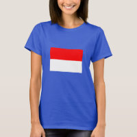 Indonesia Flag