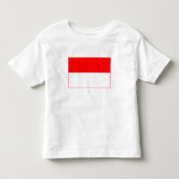 Indonesia Flag