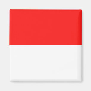 Indonesia High quality Flag Magnet