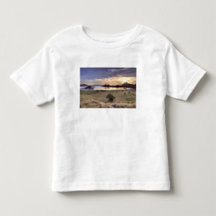 Indonesia, Komodo National Park. Sunset on one Toddler T-shirt