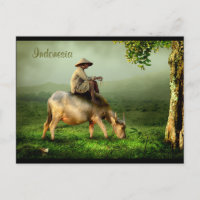 Indonesia Scenic landscape with Buffalo and Farmer
