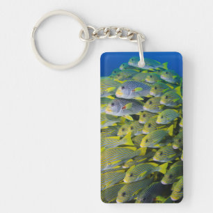 Indonesia. Schooling Fish Keychain