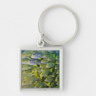 Indonesia. Schooling Fish Keychain
