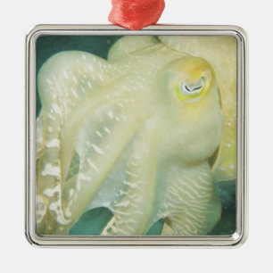 Indonesia, South Sulawesi Province, Wakatobi Metal Ornament