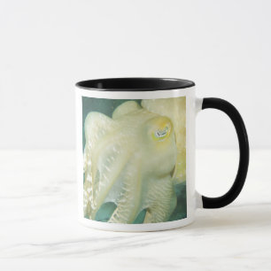 Indonesia, South Sulawesi Province, Wakatobi Mug