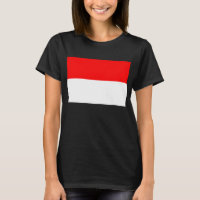 Indonesian Flag (Indonesia)