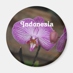 Indonesian Orchids Magnet