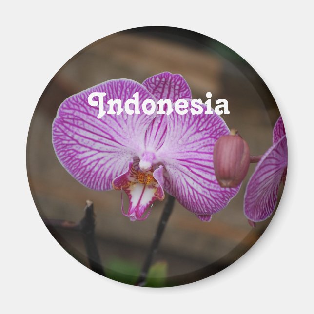 Indonesian Orchids Magnet (Front)