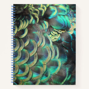 Indonesian Peacock Feathers Pattern Notebook