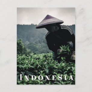 Indonésien Tea fields travailleur, carte postale v