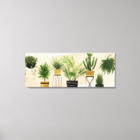 Indoor Oasis Collection