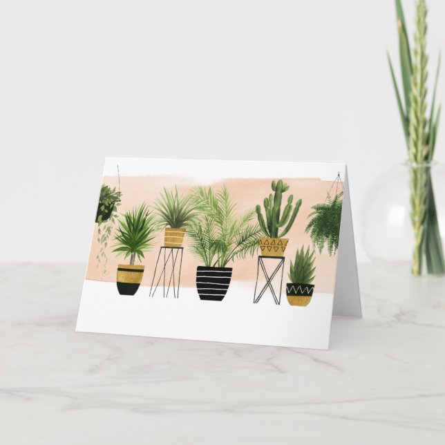 Indoor Oasis Collection Card (Front)