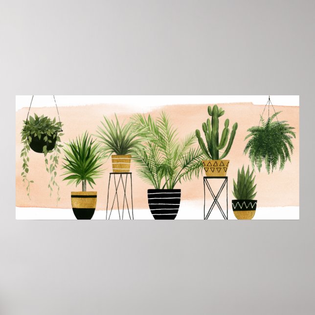 Indoor Oasis Collection Poster (Front)