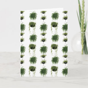 Indoor Oasis Hanging Baskets Card