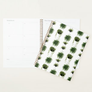 Indoor Oasis Hanging Baskets Planner