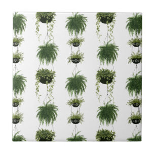 Indoor Oasis   Hanging Baskets Tile