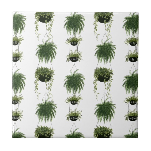 Indoor Oasis | Hanging Baskets Tile (Front)