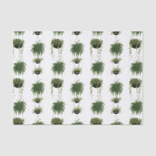 Indoor Oasis Hanging Baskets Tissue Paper