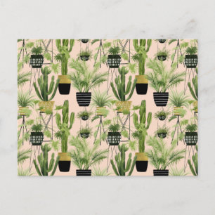 Indoor Oasis   Plant Lineup Pattern Postcard