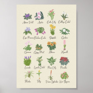Indoor Plants and their Names - Plant Lovers Gift  Poster