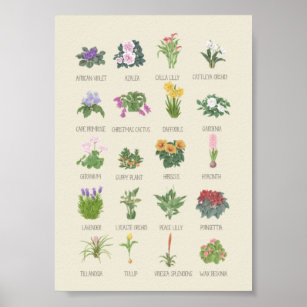 Indoor Plants + Names Gardener Plant Lovers Gift P Poster