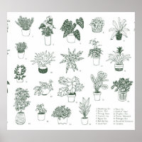Indoor plants: vintage hand-drawn set.