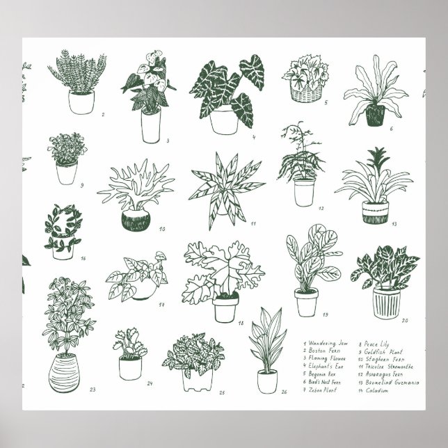 Indoor plants: vintage hand-drawn set. poster (Front)