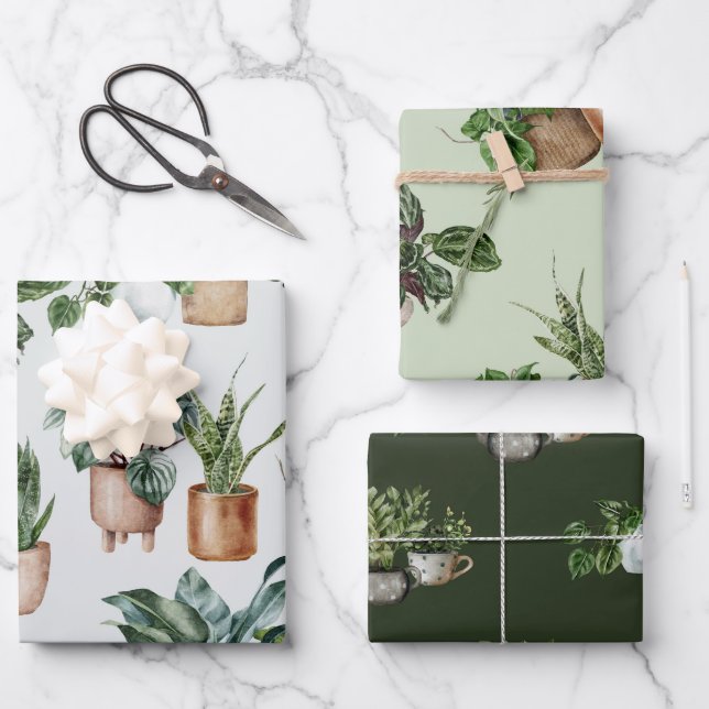 Indoor Plants Wrapping Paper (Front)