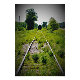 “Indulge in Green Pastures” Photo Print