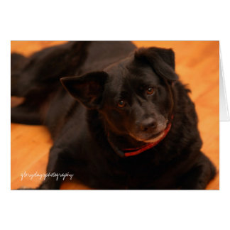 indy, glorydaysphotography